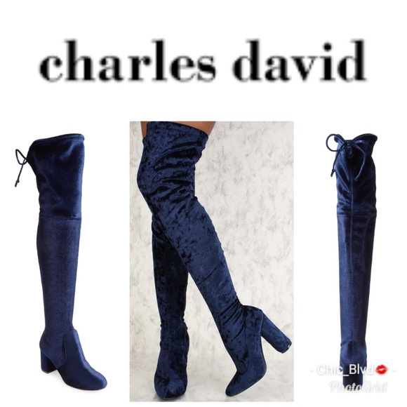 charles by charles david thigh high boots